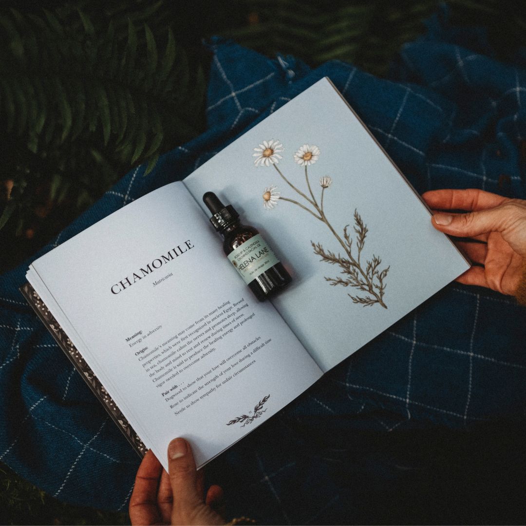 Best Organic Skincare Ingredients Canada