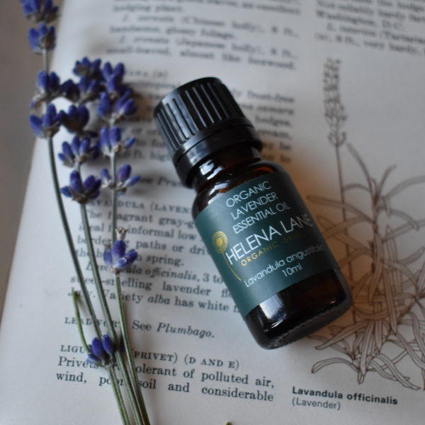 Lavender Organic Essential Oil