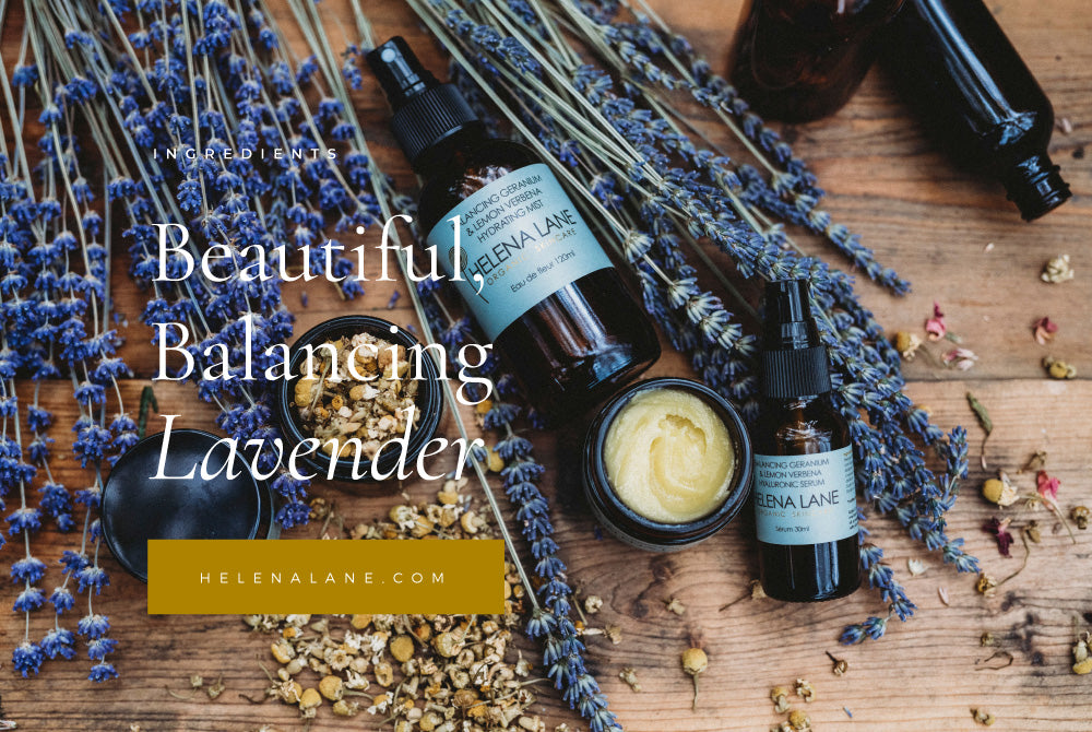 Beautiful Balancing Lavender