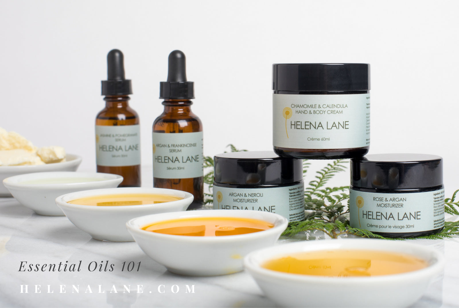 Essential Oils 101 | How do essential oils work?