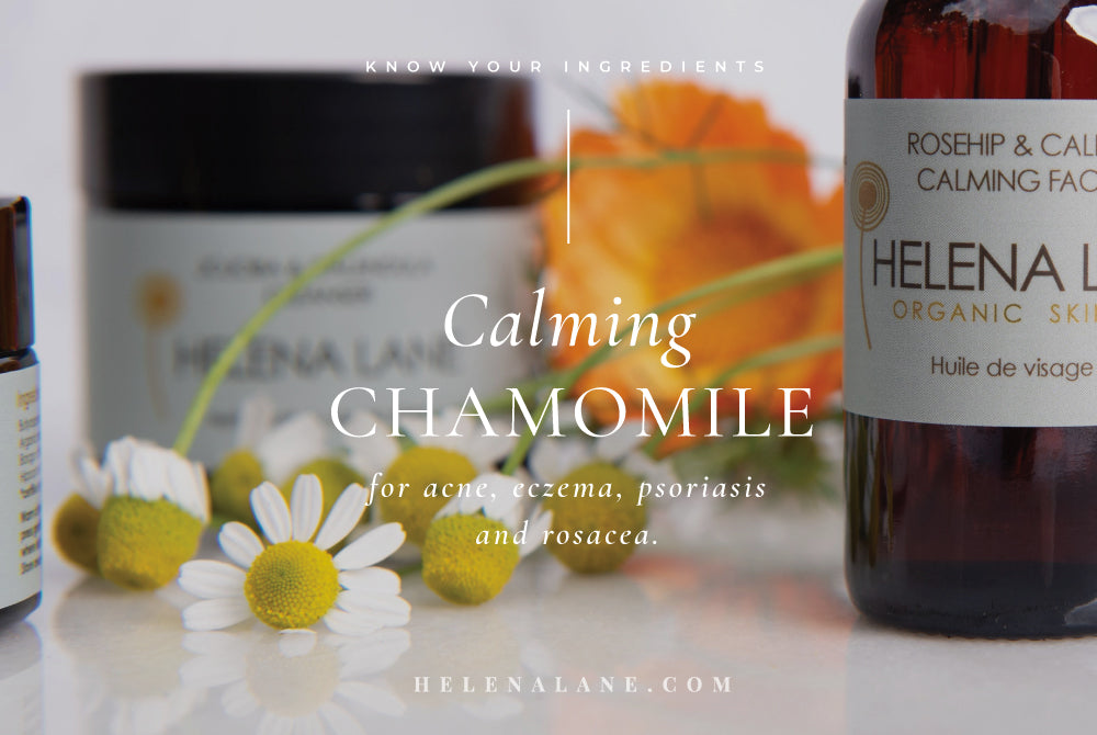 Chamomile