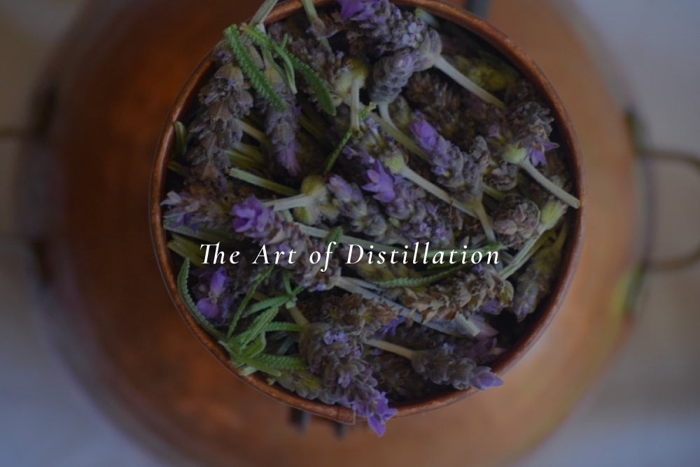 Distilling for Hydrosols