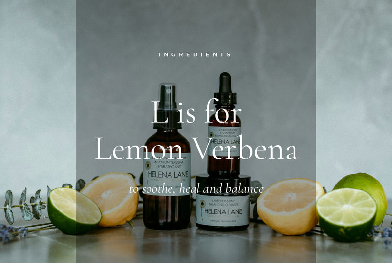 Lemon Verbena Hydrosol  The Skincare benefits of Lemon Verbena - Helena  Lane Skincare