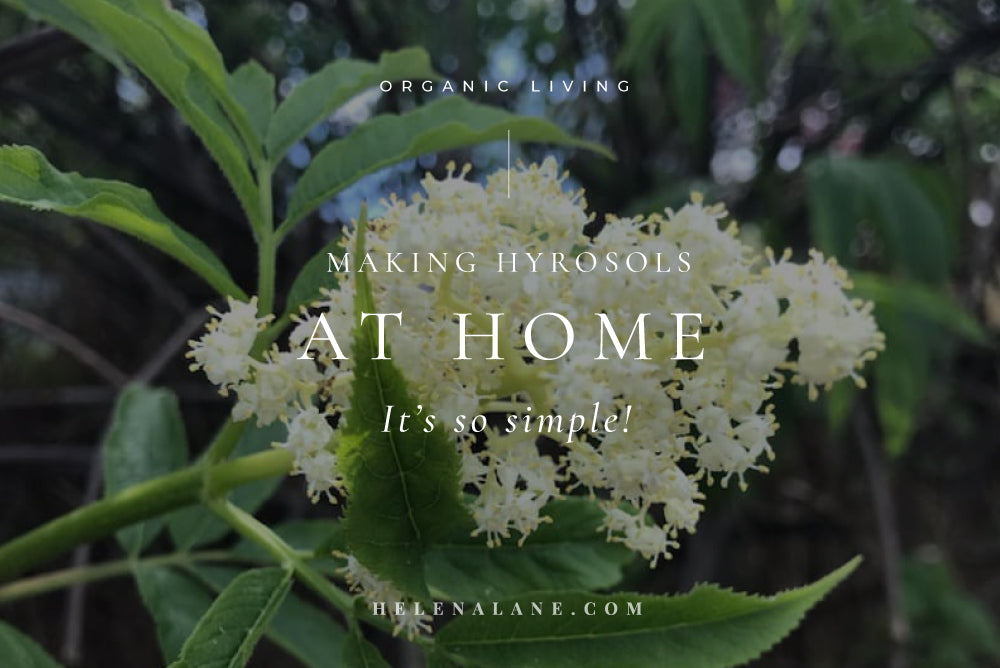 Making Hydrosols at Home - It's so simple!