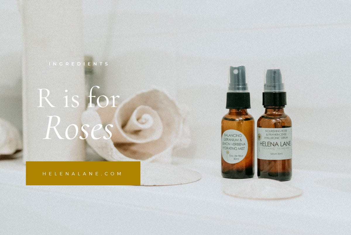 R is for Roses (Bulgarian Rose)