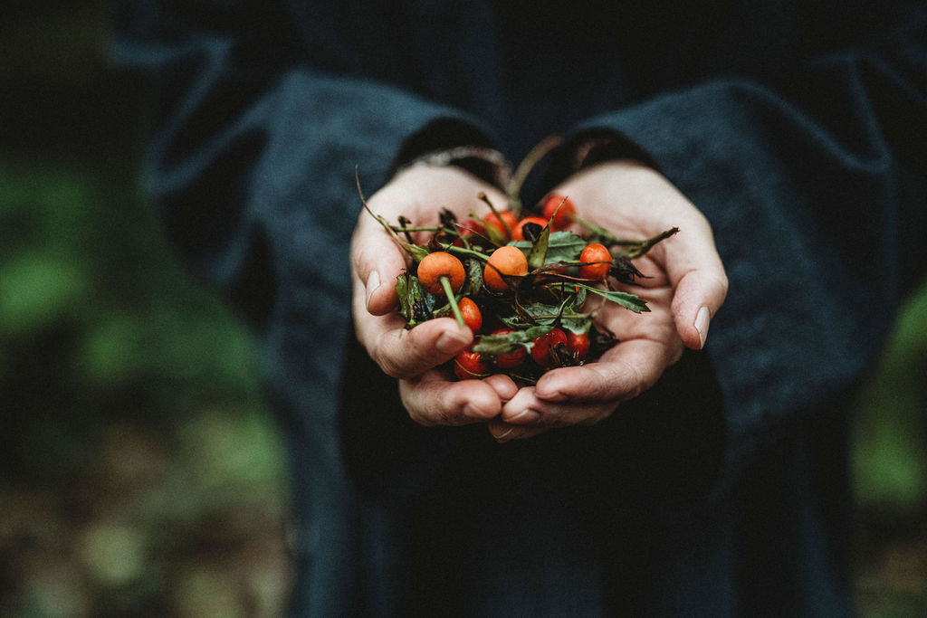 Roses and Rosehips for your Skin