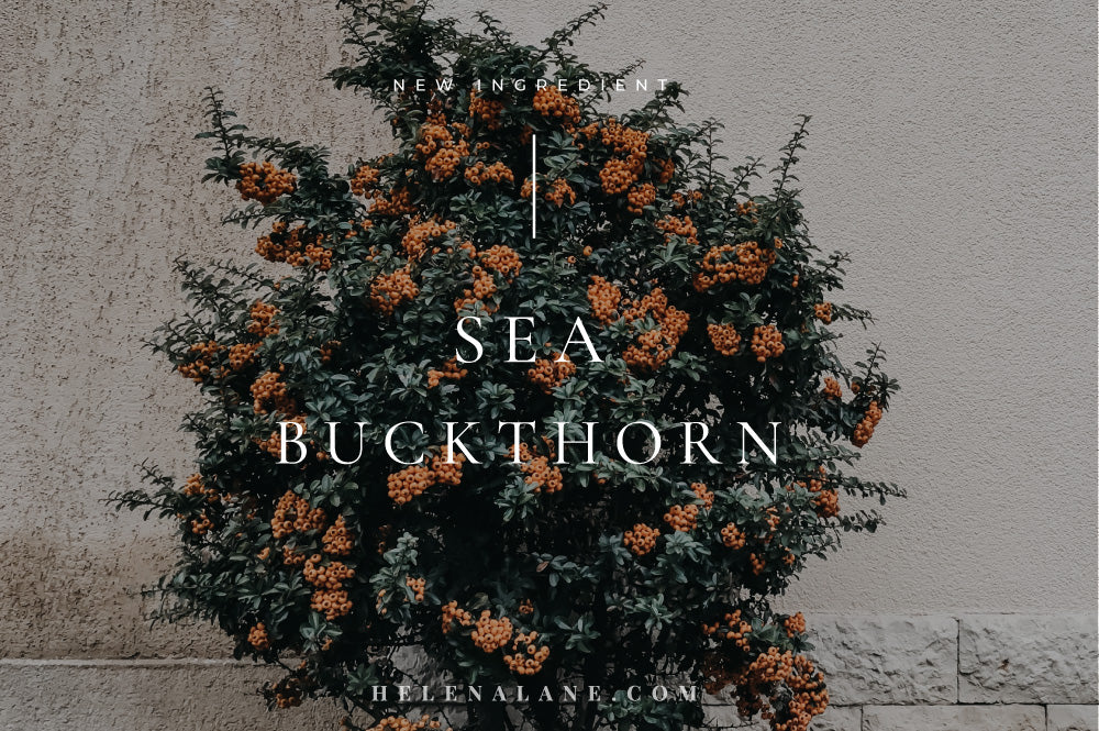 New ingredient – Sea buckthorn