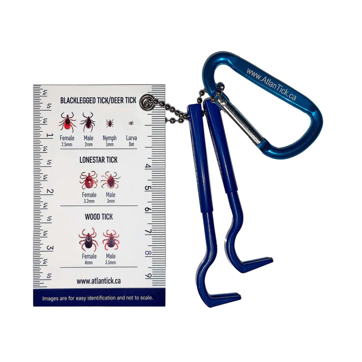 Tick Pick - Atlantick