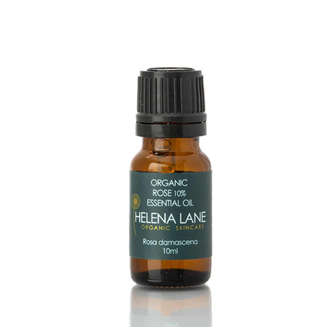 Rose Essential Oil 10% Dilution – Organic