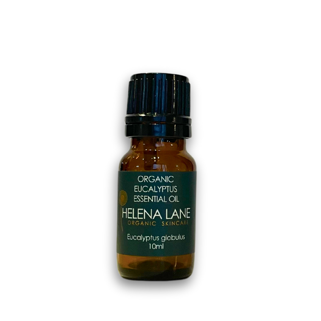 Eucalyptus Essential Oil – Organic