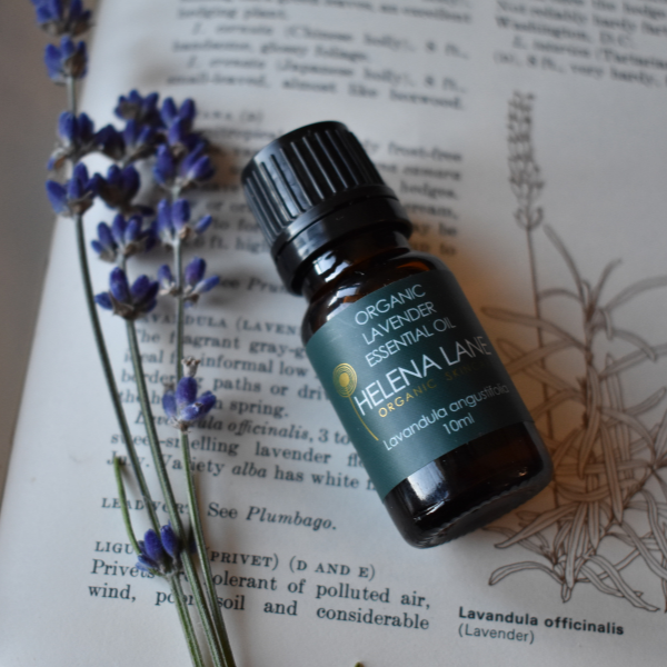 Lavender Essential Oil – Organic